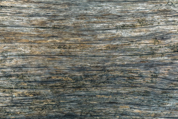 Grey old wooden background