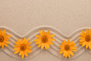 Fototapeta na wymiar Frame of yellow daisies on wavy sand. Beautiful photo.