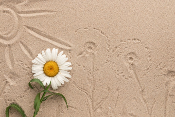 Fototapeta na wymiar Painted sun and camomile prints on the sand. Beautiful picture.