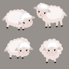 Set of cute sheep