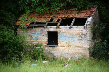 Fototapeta na wymiar Verfallene Hütte / Eine mit Pflanzen zugewucherte und einsturzgefährdete alte Hütte.