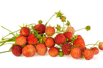 Wild strawberry on a white background