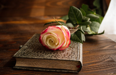 pink and white rose on an open notebook