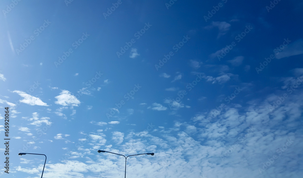 Wall mural looking up at blue sky with cloudy