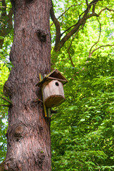 wooden birdhouse Close-up