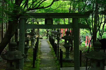 Shrine's Torii gate and stone lanterns, Japan