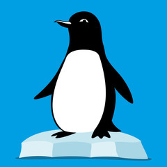 Obraz premium Penguin on the ice floe.