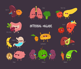 Healthy food for internal organs. Vector illustration. 
