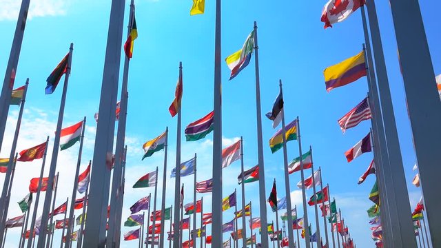  flags of the world
