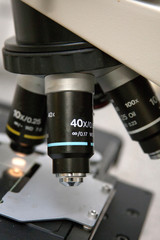 Laboratório de semen