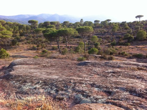 Plateau des Maures Var