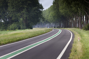 Motorway with green line in the Netherlands