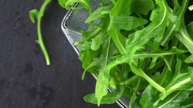 Rocket Salad (not loopable; 4K)