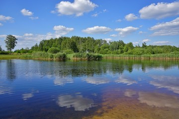 Fototapeta na wymiar Beautiful summer day on the pond - beautiful green areas of the city 