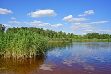 Beautiful summer day on the pond - beautiful green areas of the city 