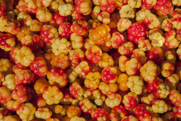 Background cloudberries in macro