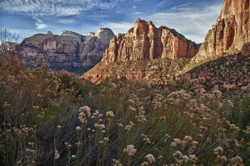 Zion National Park, Utah