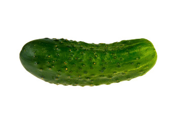 Green cucumber on a white background