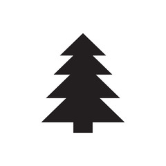 spruce icon
