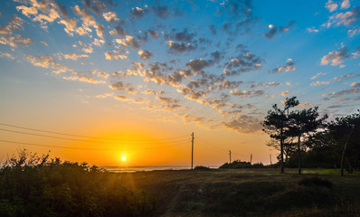 Bright sunrise on the glade in forest