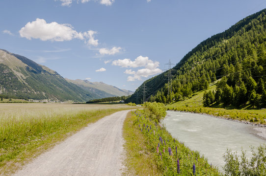 Samedan, Flaz, Fluss, Wanderweg, Flussinsel, Engadin, Oberengadin, Graub&uuml;nden, Alpen, Schweizer Berge, Sommer, Schweiz