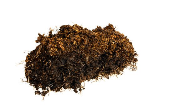 Forest turf soil on white background