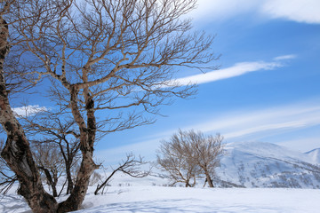 Mountain snow hokkaido