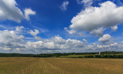 Puffy white clouds rise over a freshly planted corn field in the countryside.