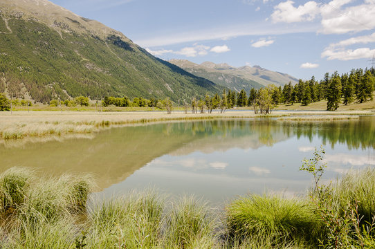 Samedan, Engadin, Oberengadin, Lej da Gravatscha, Hochmoor, Wanderweg, Graub&uuml;nden, Alpen, Wanderferien, Sommer, Schweiz