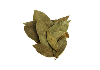 Bay leaves on white background