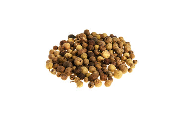 Allspise on a white background