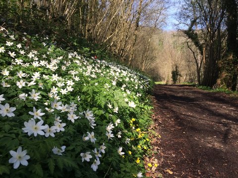 Sentier de Normandie