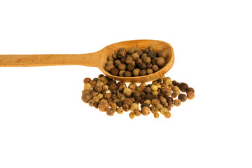 Allspise on a white background