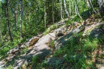 Tourism- walking path