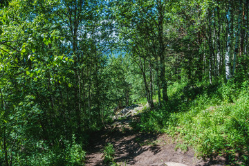 Tourism- walking path