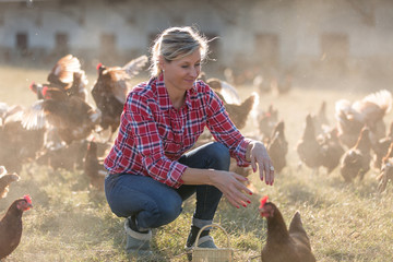 female farmer raising chicken outdoors.