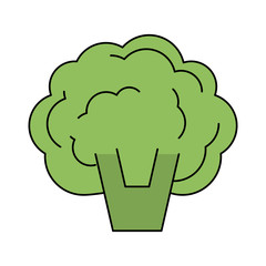 vegetable icon image