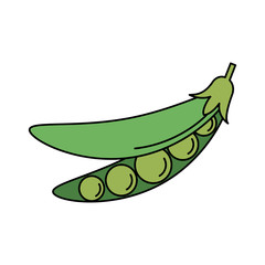 vegetable icon image