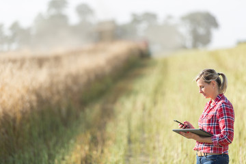 female farmer managing harvest in a cereal field