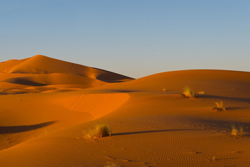 erg chebbi