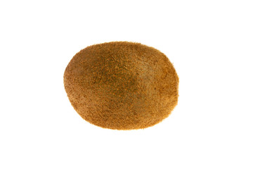 Kiwi on white background