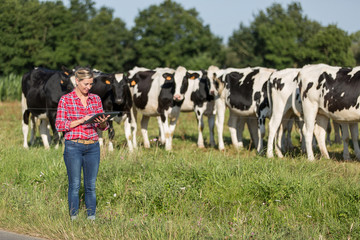 female farmer proud to work with her cows herd - 165940831
