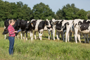 female farmer proud to work with her cows herd