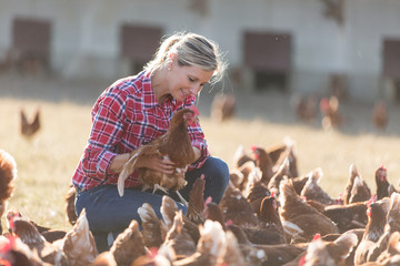 female farmers in laying hens farm