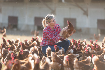 female farmer on poultry farm