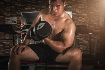Muscular bodybuilder guy doing exercises with dumbbells in gym