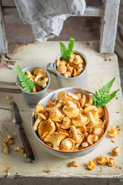 Raw chanterelles with green fern from forest