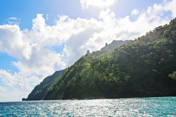 Naklejka premium kauai wild9
