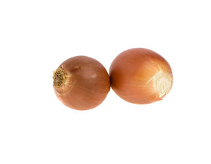 Onion on a white background