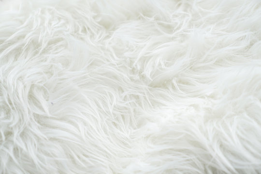 Close up at white fur fabric texture background